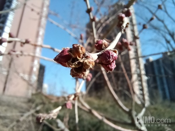 荣耀V40轻奢版评测:更轻更薄铸就难得的轻奢品质 荣耀V40轻奢版评测:更轻更薄铸就难得的轻奢品质