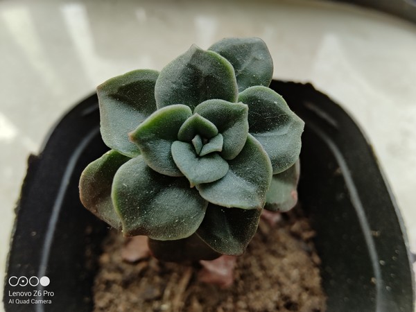 联想Z6 Pro评测:“超级视频四摄” 5G视频时代的引领者 联想Z6 Pro评测:“超级视频四摄” 5G视频时代的引领者