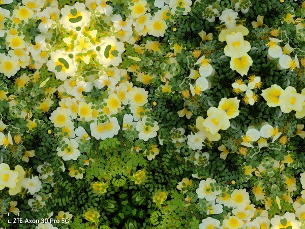 万花筒滤镜 中兴Axon 30 Pro快评:6400万双主摄 影像旗舰大有可为