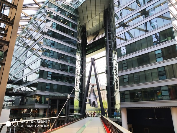红米7后置样张 红米7上手评测:这会是一款超乎你预期的百元手机