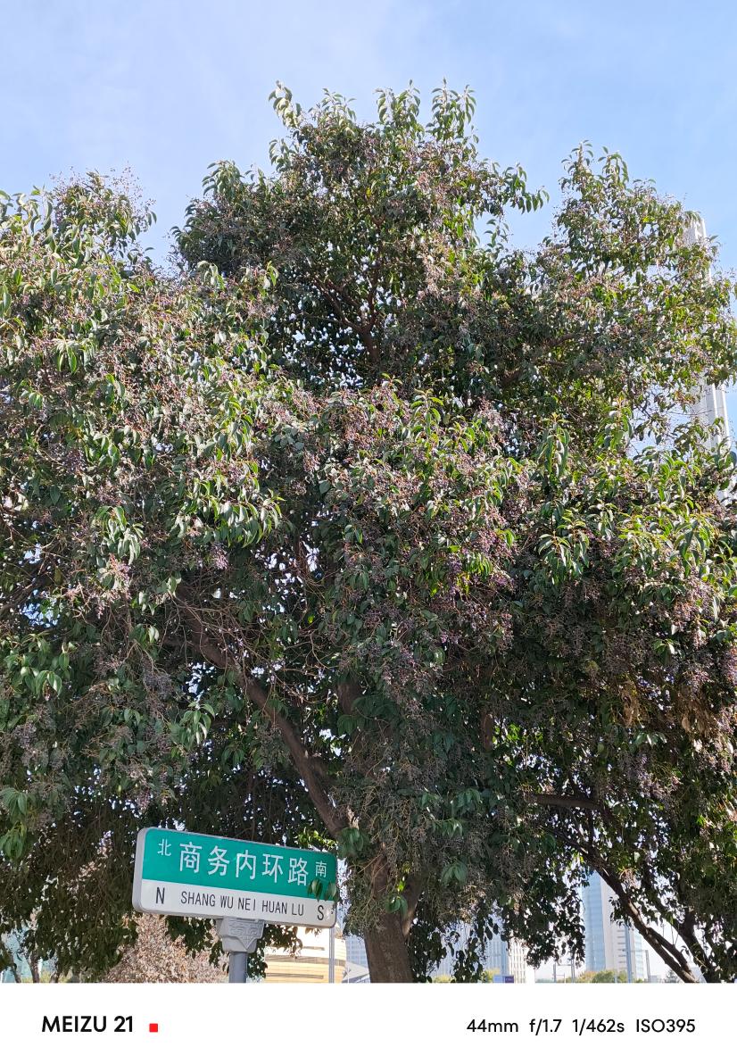 魅族21评测:精致、简洁和美