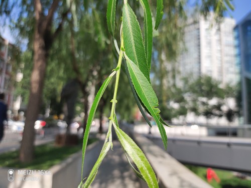 魅族16Xs样张 魅族16Xs上手体验:将科技与美学平衡的恰到好处!