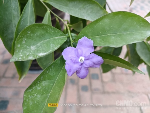 真我X7 Pro至尊版样张 漂亮实力派 真我X7 Pro至尊版曲面屏+潮流色这波稳了