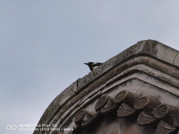 华为P40 Pro+超感知徕卡五摄 百倍变焦打造极致影像体验 华为P40 Pro+超感知徕卡五摄 百倍变焦打造极致影像体验