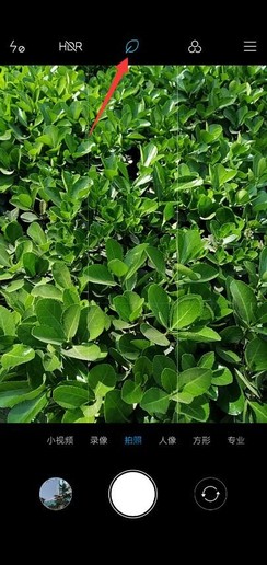 红米7后置样张(AI关闭) 红米7上手评测:这会是一款超乎你预期的百元手机