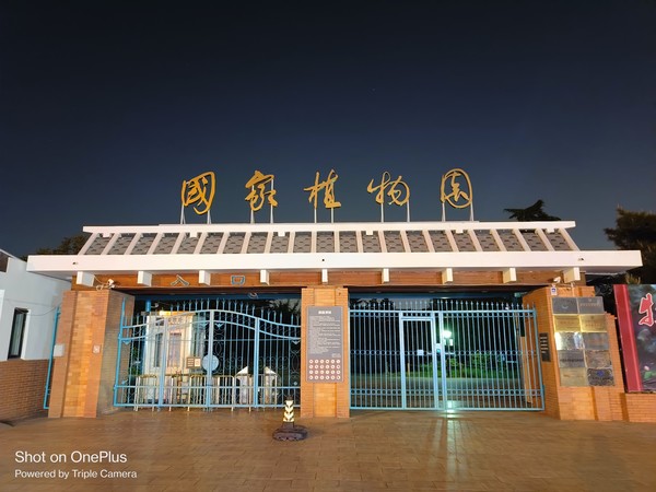 一加Ace夜景样张 一加Ace评测:性能王牌带来极致体验