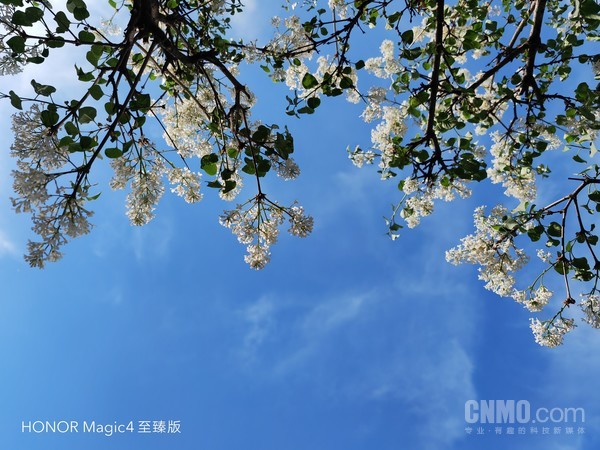荣耀Magic4至臻版样张 荣耀Magic4至臻版评测:体验为先 用细节打造顶级旗舰