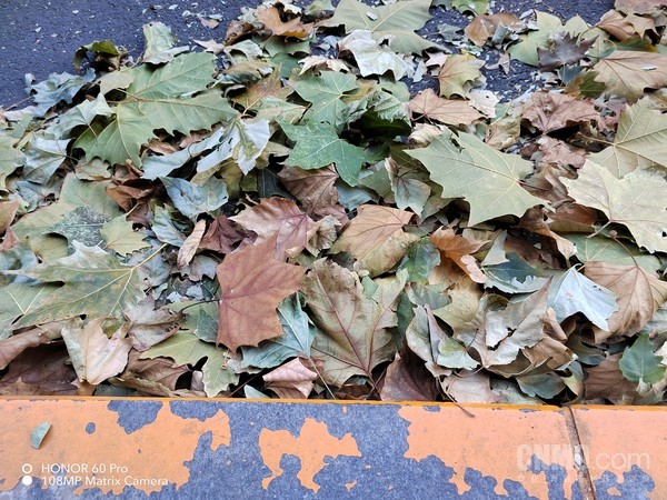 荣耀60 Pro样张 荣耀60 Pro全面评测:时尚简约 Vlog拍摄隔空让你心动