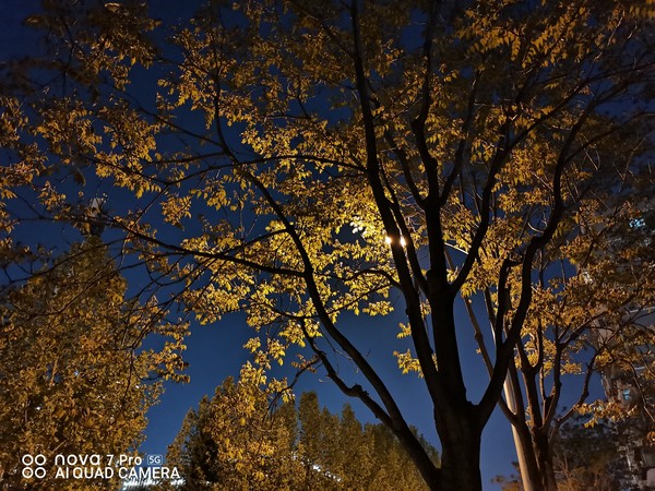 华为nova7 Pro夜景 华为nova7 Pro评测:一款前后拍都好看的5G闪耀旗舰