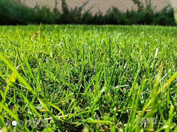 魅族16T样张 “年轻人买得起的旗舰”长什么样?魅族16T告诉你答案