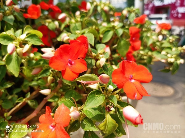 Redmi 10X Pro样张 荣耀X10对比Redmi 10X Pro 2000元的5G手机怎么选