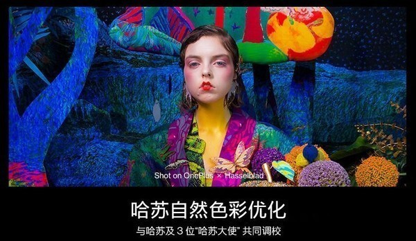 一加 9拆机:内外兼修 做工扎实 Pro级的品质从未改变 一加 9拆机:内外兼修 做工扎实 Pro级的品质从未改变