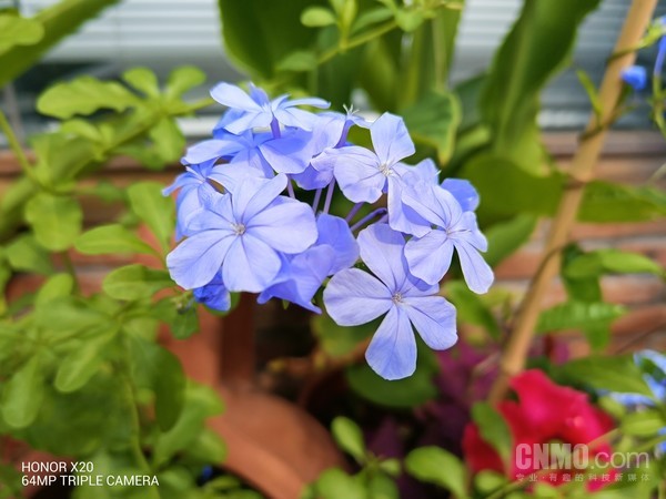 荣耀X20样张 荣耀X20评测:120Hz全视屏+66W超级快充 X系列归来