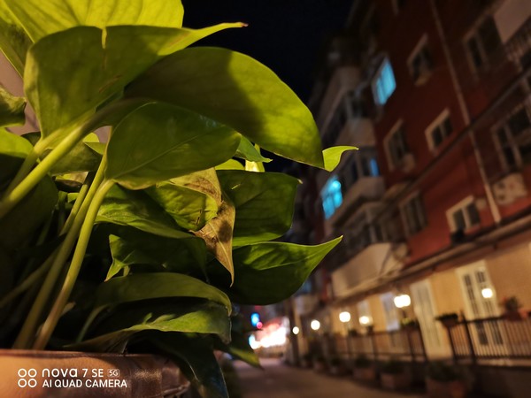 华为nova7 SE夜景样张 华为nova7 SE评测:从颜值到拍照 让闪耀触手可及