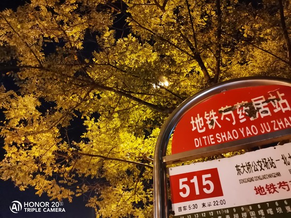 荣耀20S样张 荣耀20S全面评测 3200万AI自拍成就荣耀最强自拍手机