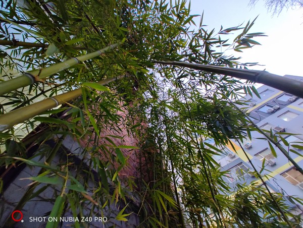 努比亚Z40 Pro拍照效果 努比亚Z40 Pro拍照评测:仰望星河幻海 记录烟火人间