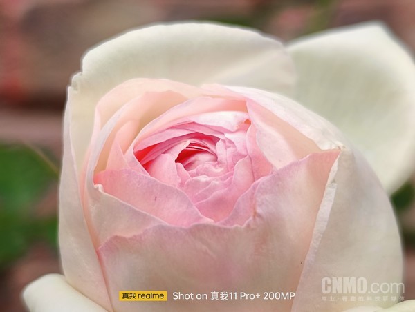 真我11 Pro+ 4x样张 质价比之王realme真我11 Pro+评测:一颗镜头带来多焦段拍摄自由