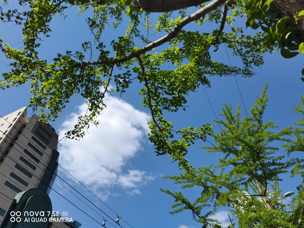 华为nova7 SE评测:从颜值到拍照 让闪耀触手可及 华为nova7 SE评测:从颜值到拍照 让闪耀触手可及