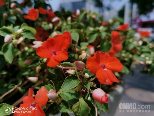 荣耀X10样张 荣耀X10对比Redmi 10X Pro 2000元的5G手机怎么选