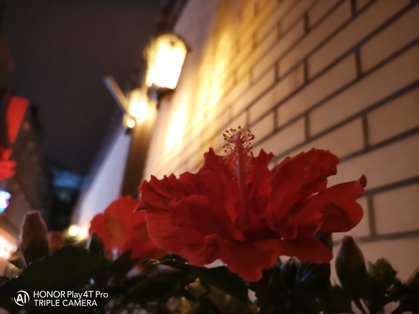 荣耀Play4T Pro评测 这回“Play”的不仅仅是麒麟810 荣耀Play4T Pro评测 这回“Play”的不仅仅是麒麟810