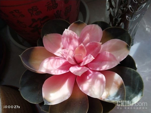 由iQOO Z7x拍摄 iQOO Z7x评测:一部可以安心用上好几年的千元机