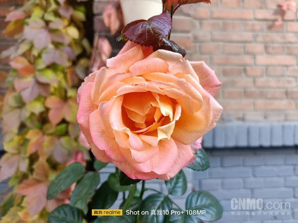 真我10 Pro+:好看亦好用 值得细品的潮流科技越级之作 真我10 Pro+:好看亦好用 值得细品的潮流科技越级之作
