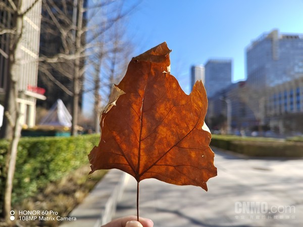 荣耀60 Pro样张 荣耀60 Pro全面评测:时尚简约 Vlog拍摄隔空让你心动