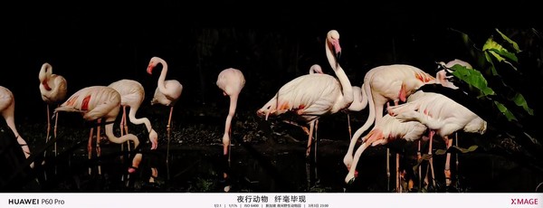 华为P60系列快速上手:洛可可白 你说的白是什么白? 华为P60系列快速上手:洛可可白 你说的白是什么白?