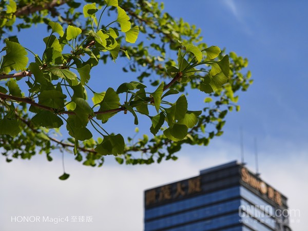 荣耀Magic4至臻版样张 荣耀Magic4至臻版评测:体验为先 用细节打造顶级旗舰