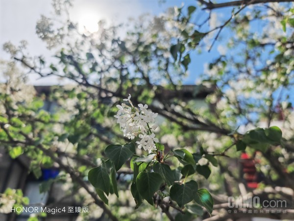荣耀Magic4至臻版样张 荣耀Magic4至臻版评测:体验为先 用细节打造顶级旗舰