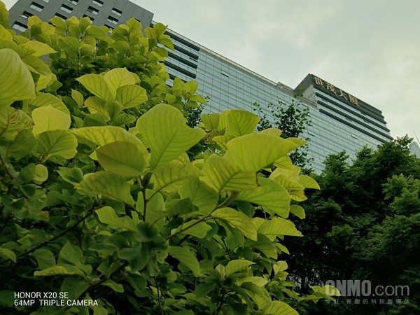 荣耀X20 SE上手评测:超窄边全视屏让体验无边际 荣耀X20 SE上手评测:超窄边全视屏让体验无边际