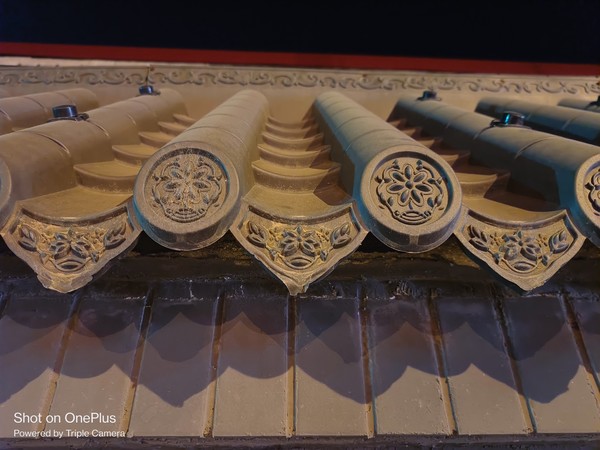 一加Ace夜景样张 一加Ace评测:性能王牌带来极致体验